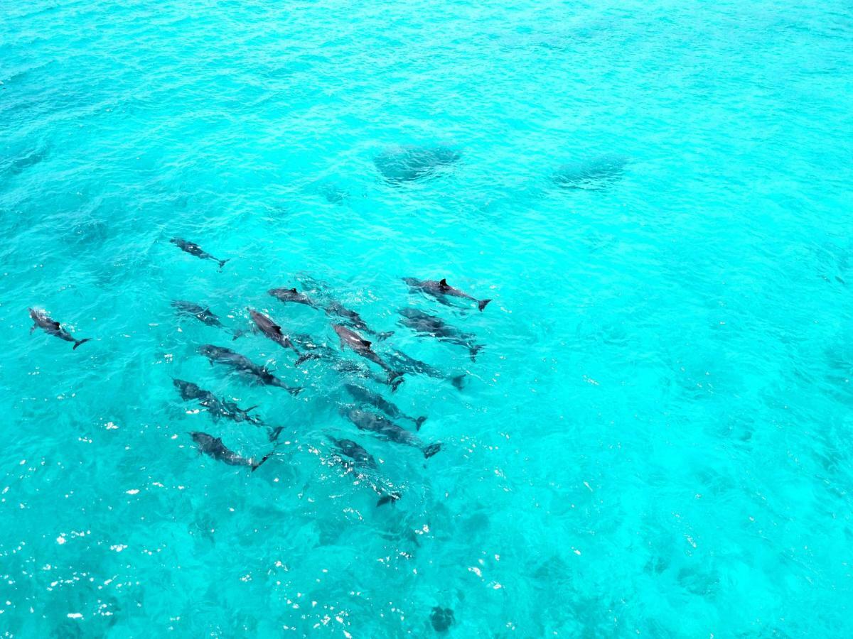 Athiri Beach Maldives Dhigurah  Extérieur photo