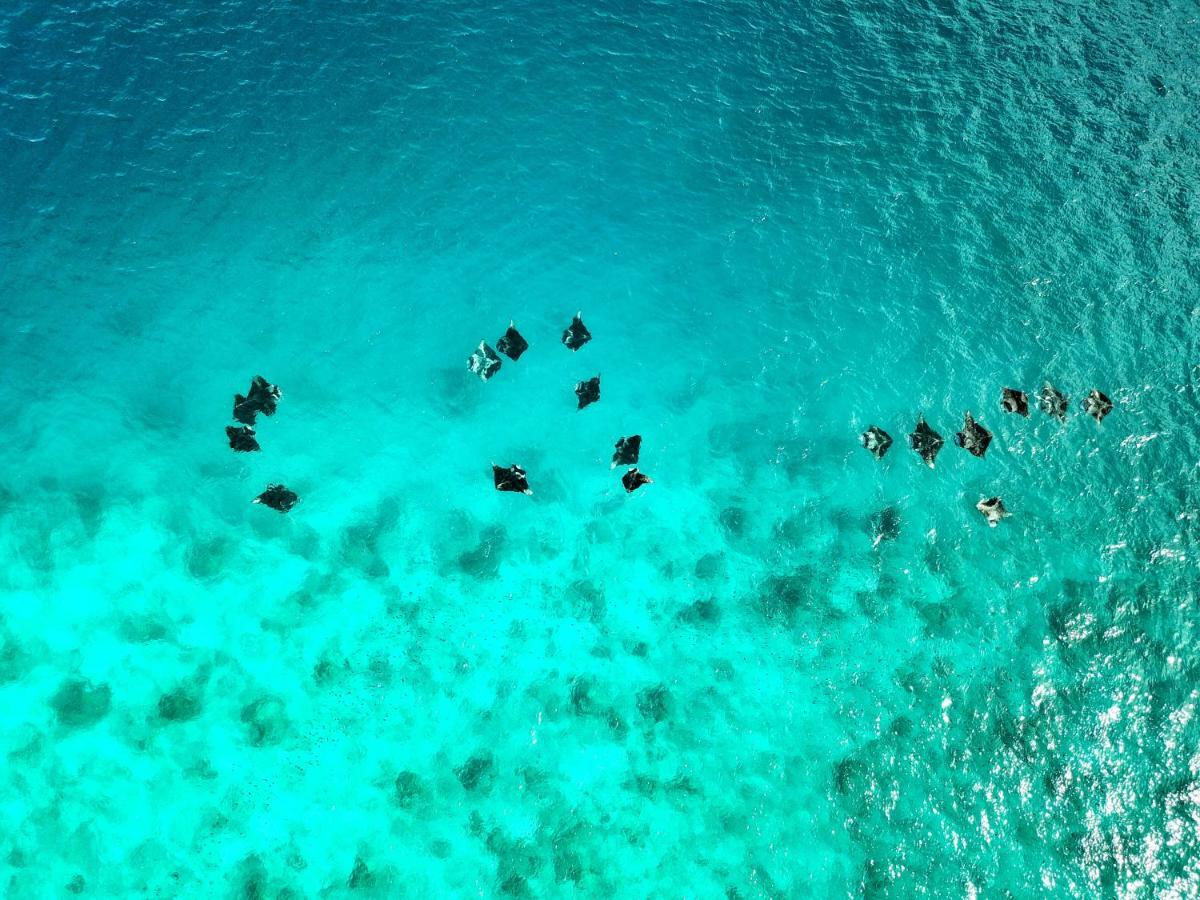 Athiri Beach Maldives Dhigurah  Extérieur photo